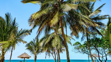 Jacaranda Indian Ocean Beach Resort