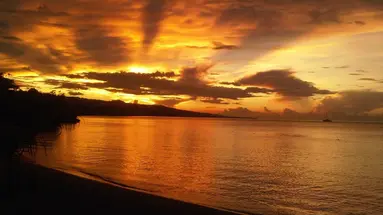 Jamaica Inn