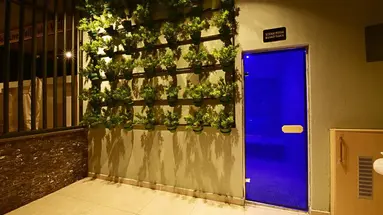 Jasmin Elite Residence