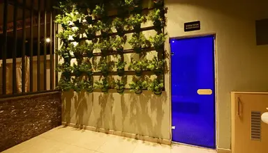 Jasmin Elite Residence