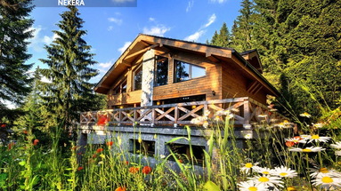 Jasna Collection