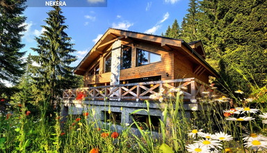 Jasna Collection