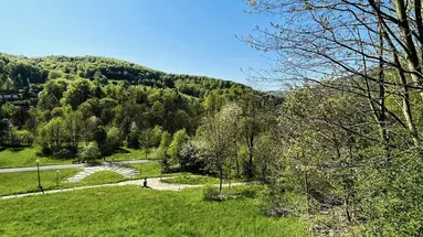 Jawor