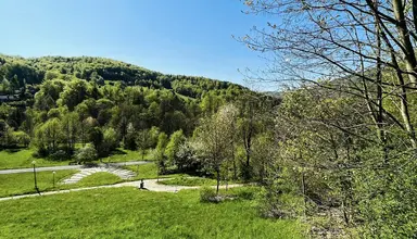 Jawor