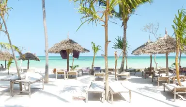 Jaz Adonia Beach Resort