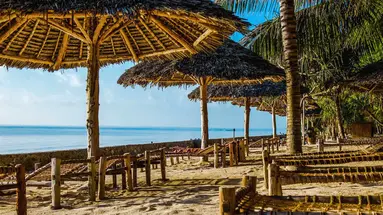 Jaz Adonia Beach Resort