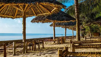 Jaz Adonia Beach Resort