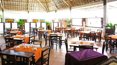 Jaz Adonia Beach Resort
