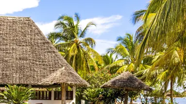 Jaz Adonia Beach Resort