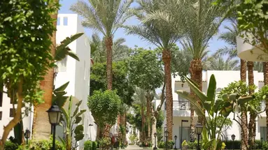 Jaz Fanara Resort