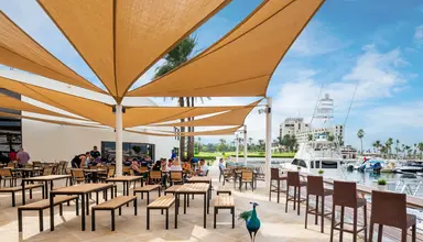 Jebel Ali Palm Tree Court & Spa