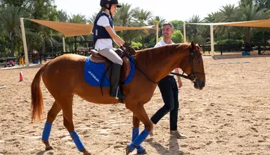 Jebel Ali Palm Tree Court & Spa
