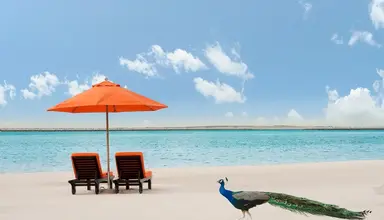 Jebel Ali Palm Tree Court & Spa