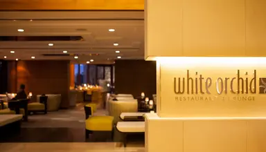 Jebel Ali Palm Tree Court & Spa