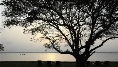 Jetwing Lagoon