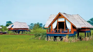 Jetwing Vil Uyana