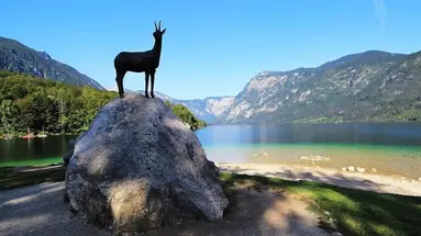 Jezero (Bohinj)
