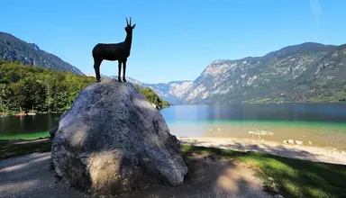 Jezero (Bohinj)