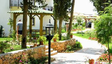 Jiba