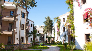 Jiba