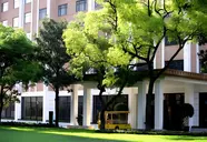 Jinjiang Shanghai