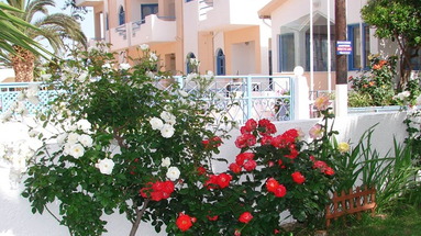 Joanna Apartments