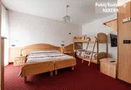 Job - Garden & SPA