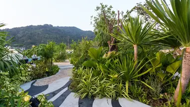 Journey Hub Phuket