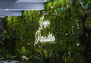 Joya Paradise