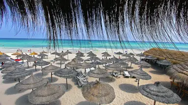 Joya Paradise