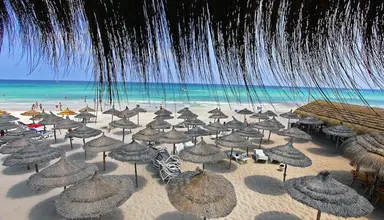 Joya Paradise