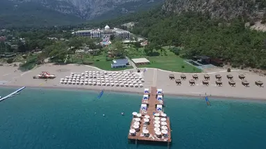 Juju Premier Palace 
