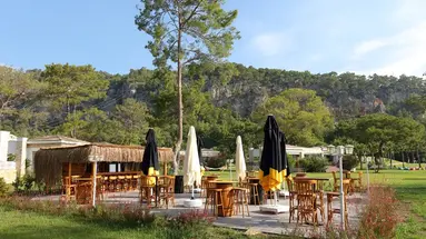 Juju Premier Palace 