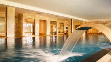 Juju Premier Palace 