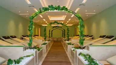 Juju Premier Palace 