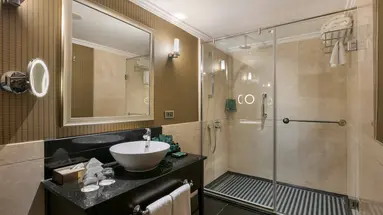 Juju Premier Palace 