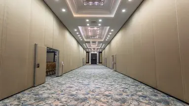 Juju Premier Palace 