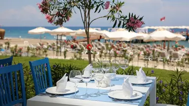 Juju Premier Palace 