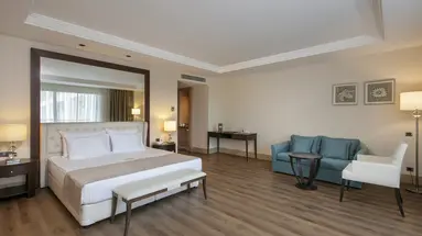 Juju Premier Palace 