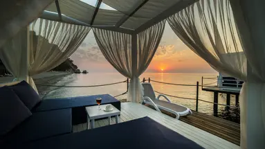 Juju Premier Palace 