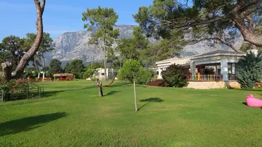 Juju Premier Palace 