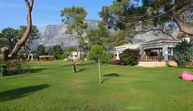 Juju Premier Palace