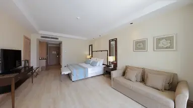 Juju Premier Palace 