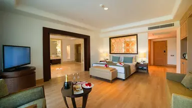 Juju Premier Palace 
