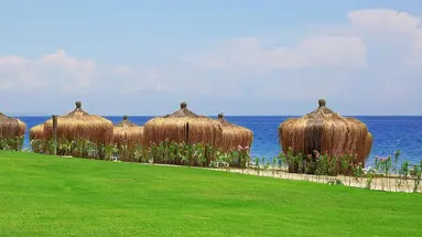 Juju Premier Palace 