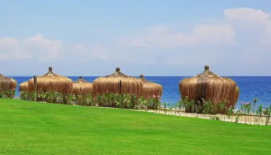 Juju Premier Palace