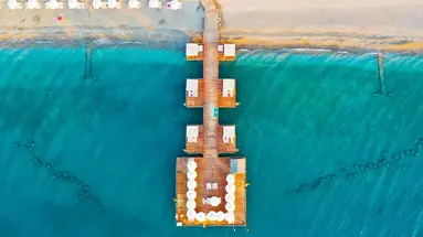 Juju Premier Palace 