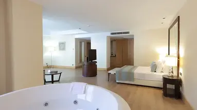 Juju Premier Palace 