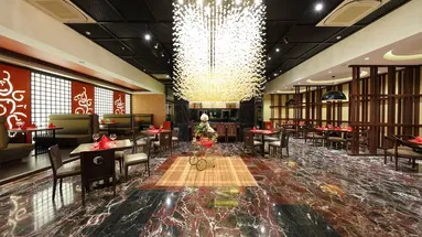 Juju Premier Palace 