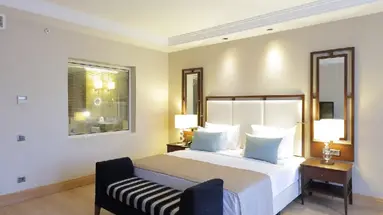 Juju Premier Palace 